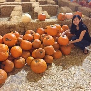 Meet your Posher, Lulu